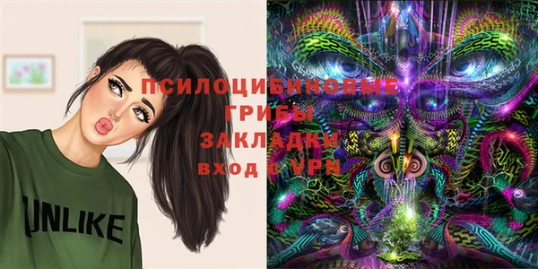 винт Аркадак
