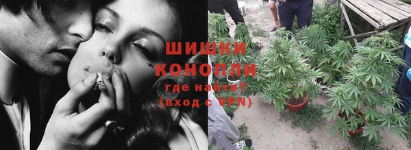 винт Аркадак