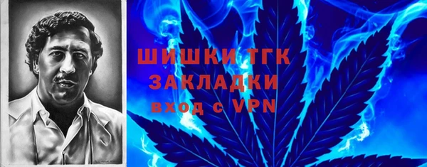 винт Аркадак