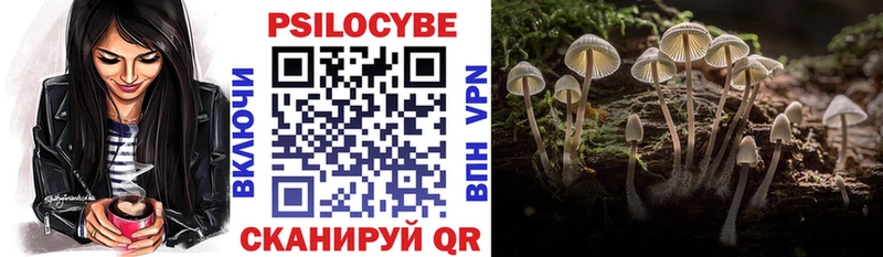 MEGA сайт  Новая Ладога  Галлюциногенные грибы мухоморы  дарнет шоп 